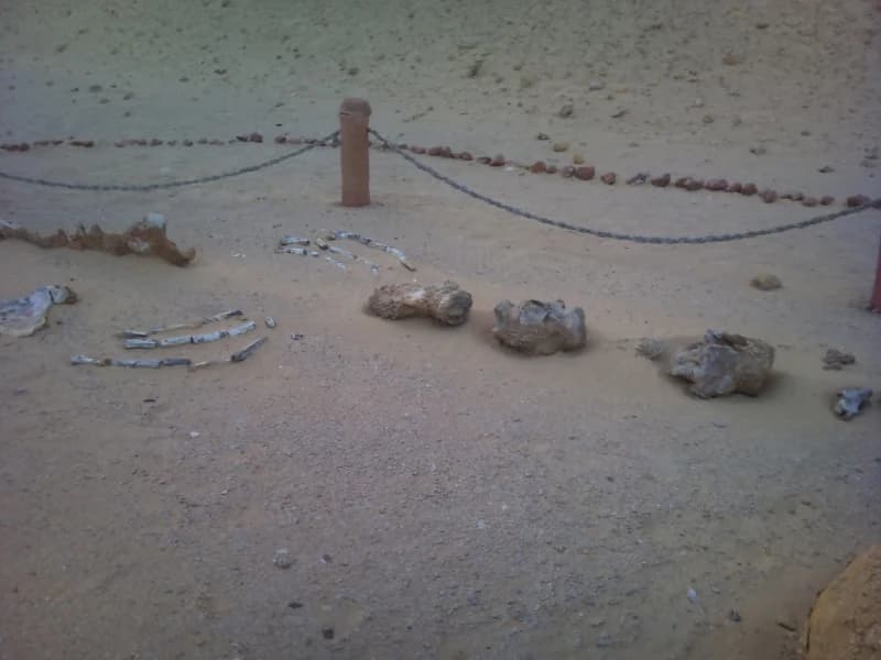 Day Tour to El Fayoum from Cairo