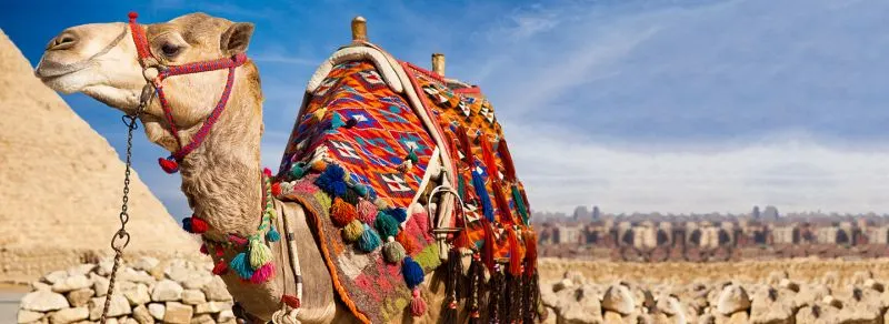 Round Trip Nile Cruise and Pyramids