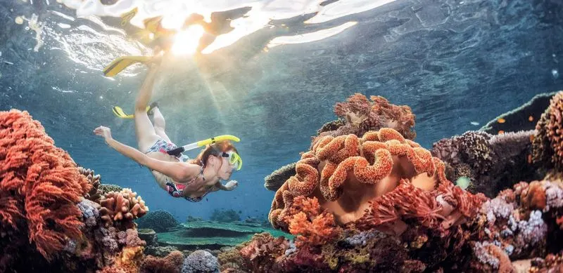 The Best of Egypt: Cairo, Nile Cruise & Sharm El Sheikh