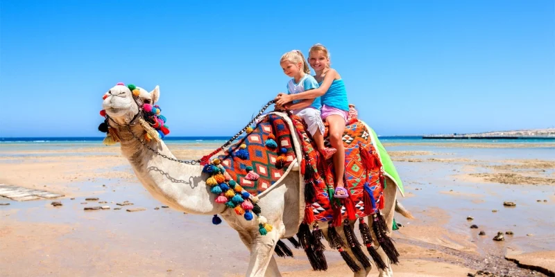 The Best of Egypt: Cairo, Nile Cruise & Sharm El Sheikh